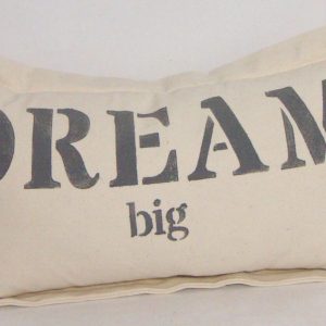 Dream Big on Heavy Cotton Canvas