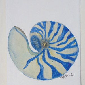 Limited Edition Watercolor Blue Nautilus Print White Flour Sack Towel
