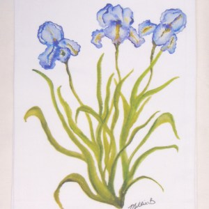 Limited Edition Watercolor Purple Iris Print White Flour Sack Towel