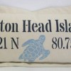 Sea Turtle Coordinates on Heavy Cotton Canvas