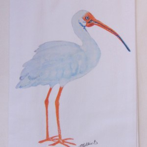 Limited Edition Watercolor Ibis Print White Flour Sack Towel