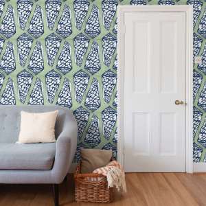 Alternative view of Cone Shells