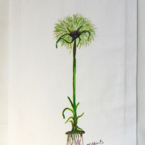 Limited Edition Papyrus White Flour Sack Towel