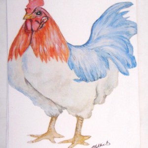 Limited Edition French Country White Flour Sack Towel