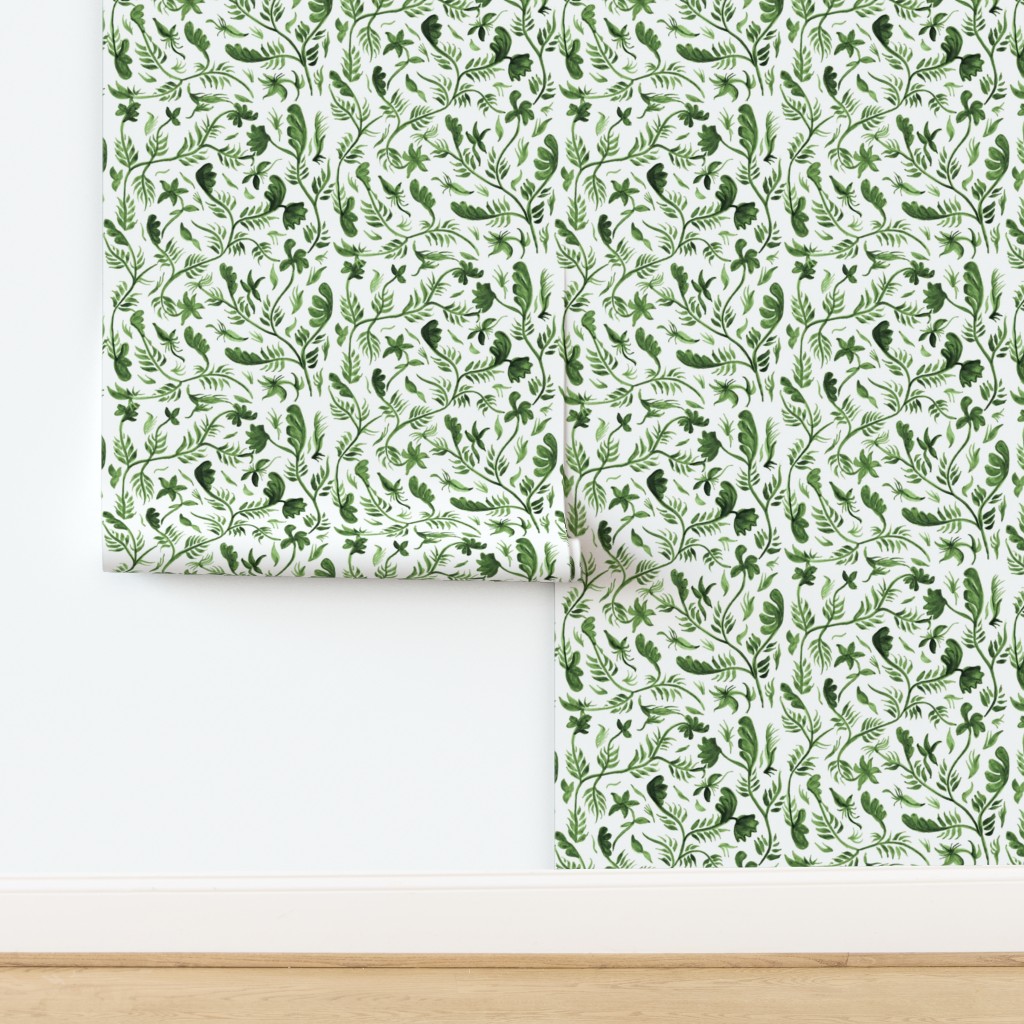 Mediterranean Botanicals - Image 23