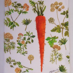 Limited Edition Watercolor Carrot and Herbs Print White Flour Sack Towel