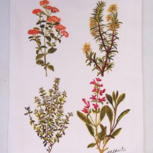 Limited Edition Watercolor Herbs Print White Flour Sack Towel
