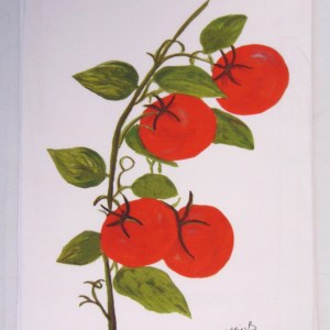 Limited Edition Watercolor Organic Tomatoes Print White Flour Sack Towel